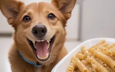 Cómo limpio los dientes a mi perro. Cuidado dental perruno