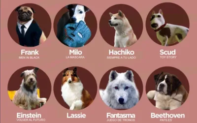 Los perros más famosos de la historia